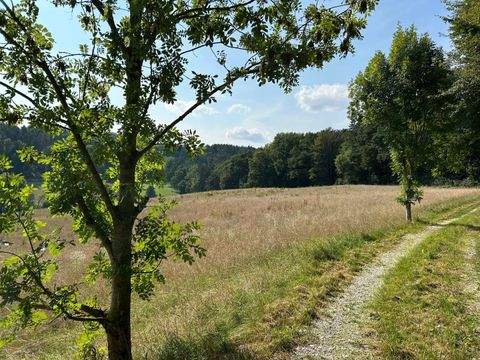 Moosthenning Bauernhöfe, Landwirtschaft, Moosthenning Forstwirtschaft