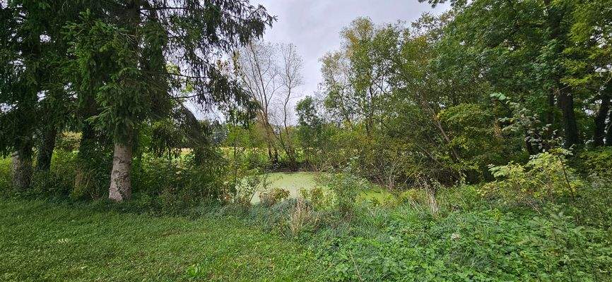 eigener Enten-/Fischteich