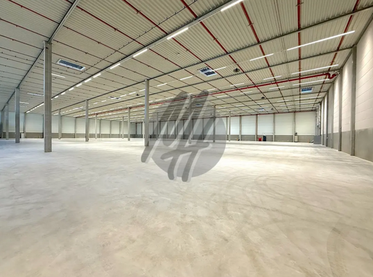 INFOS UNTER: 06171-586000