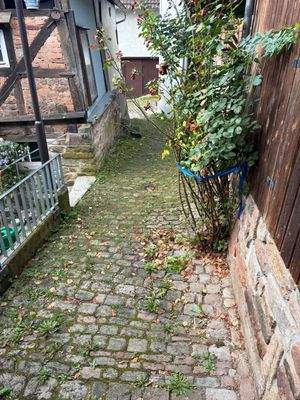 18. Bis auf ein Wiedersehen in der Siebenbrücksgasse.jpeg