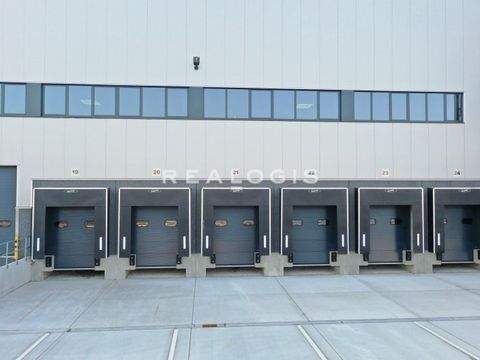 Ludwigsfelde Halle, Ludwigsfelde Hallenfläche