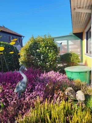 Garten in Richtung Vorgarten und Wintergarten