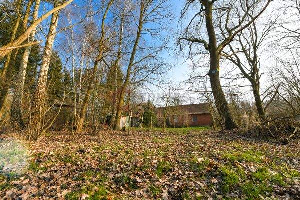 Hinterer Grundstücksteil