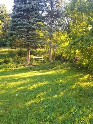 Sitzpatz beim eigenen Wald