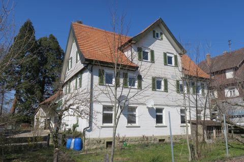 Schopfloch Halle, Schopfloch Hallenfläche