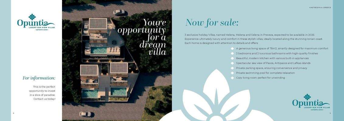 Opuntia Magazine_Seite_03.jpg