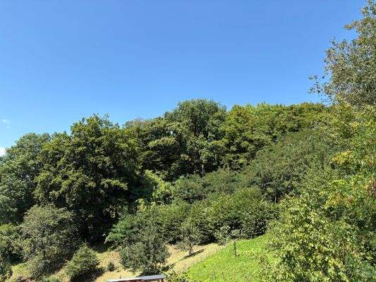 Blick aus dem Fenster