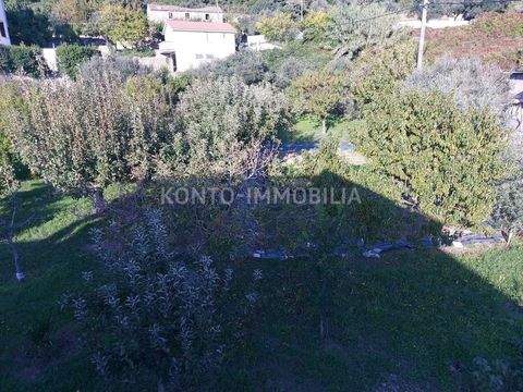 Rab Bauernhöfe, Landwirtschaft, Rab Forstwirtschaft