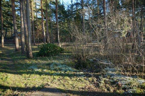 Grundstück vorne (7).JPG