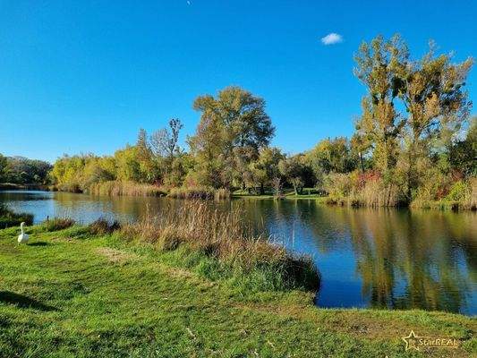 Mühlwasser 80 Meter