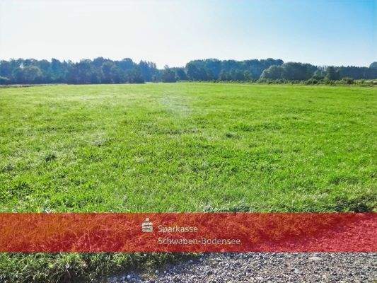 Landwirtschaftsgrundstück