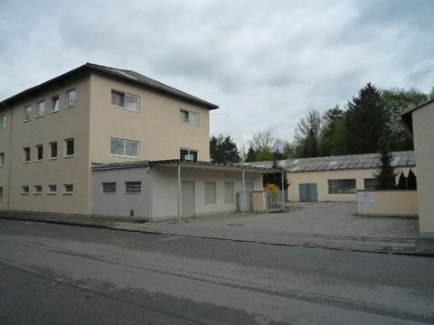 Waldkraiburg Halle, Waldkraiburg Hallenfläche