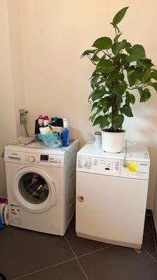 Waschküche - Badezimmer 
