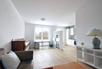 Wohn-: Esszimmer mit offener Küche_1