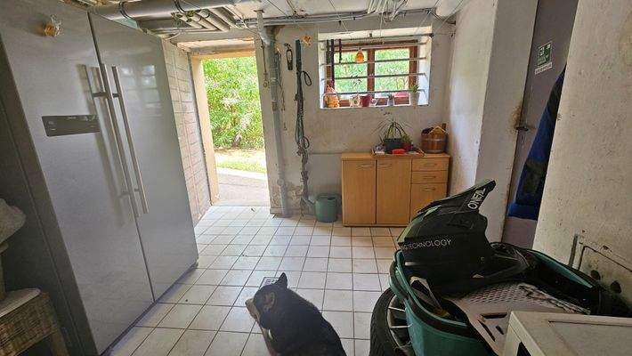 Kellerraum mit Tür zum Garten