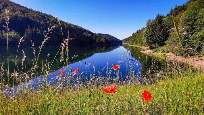Talsperre Schönbrunn.jpg