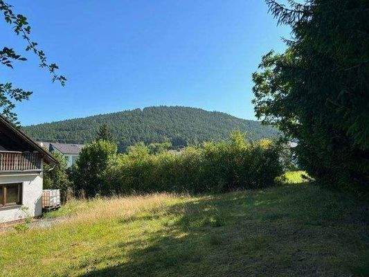 .. sonniger Garten !