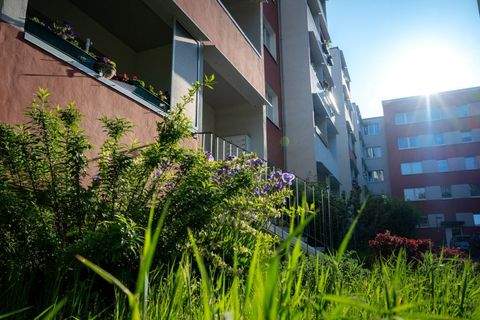 Halle (Saale) Wohnungen, Halle (Saale) Wohnung mieten