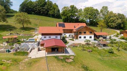 Waldkirchen Bauernhöfe, Landwirtschaft, Waldkirchen Forstwirtschaft