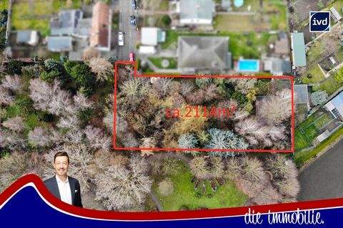 Magdeburg / Alt Olvenstedt Grundstücke, Magdeburg / Alt Olvenstedt Grundstück kaufen