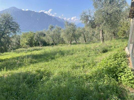 IMG_9637 - 1K JPEG.jpg