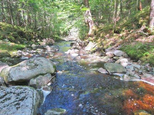 Nova Scotia - West Side Country Harbour - 52-Hekta