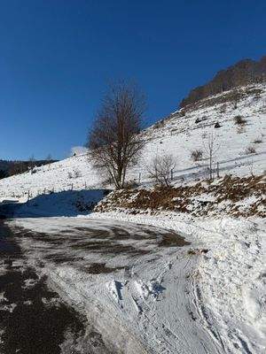 PHOTO-2026-01-05-13-31-30 2.jpg