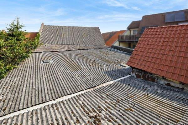 Blick vom Vorderhaus auf die grosse Dachfläche des Lagerbereiches 