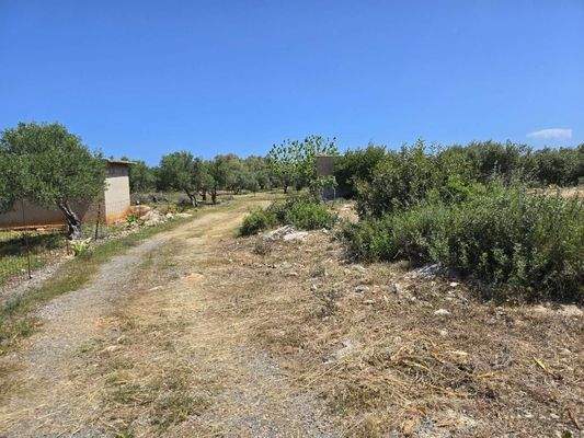 Kreta, Latsima: Großes bebaubares Grundstück zum Verkauf