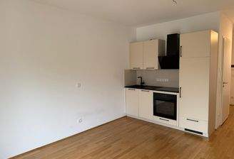 Küche / Wohnbereich