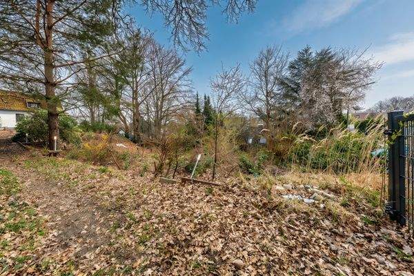 DI - Forbes Global Properties