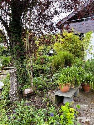 Garten_neben Gewächshaus