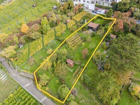 Stuttgart / Degerloch Grundstücke, Stuttgart / Degerloch Grundstück kaufen