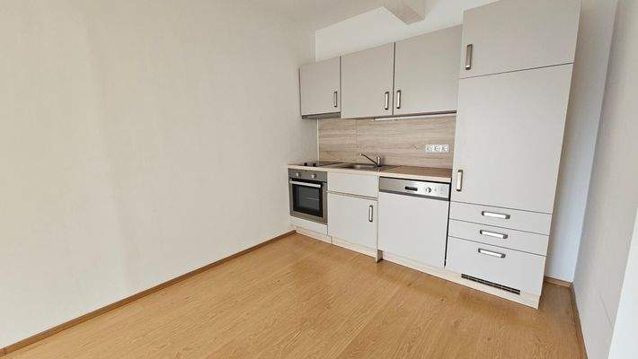 20251216_095205_resized