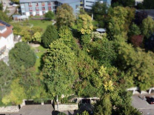 Grundstücksansicht von Süden