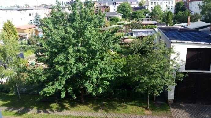 Blick aus der Küche