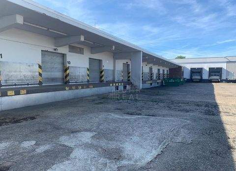 Hagen Halle, Hagen Hallenfläche