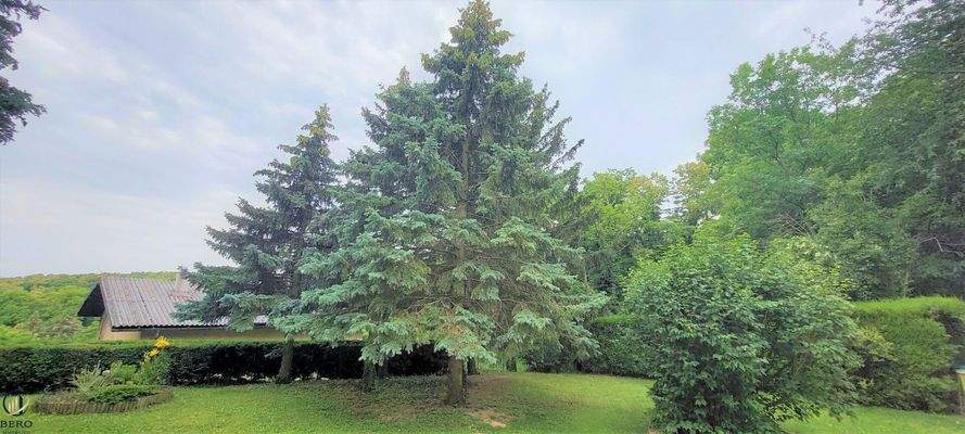 Wunderschönes Grundstück