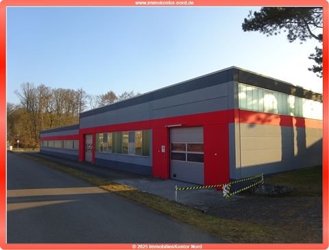 Trittau Halle, Trittau Hallenfläche