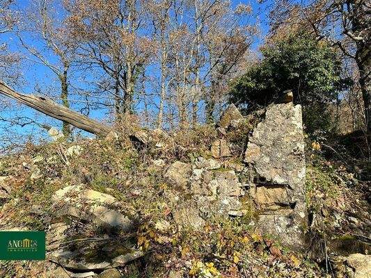 Baugrundstück mit Ruine