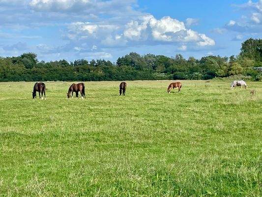 Auch das ist Parkentin