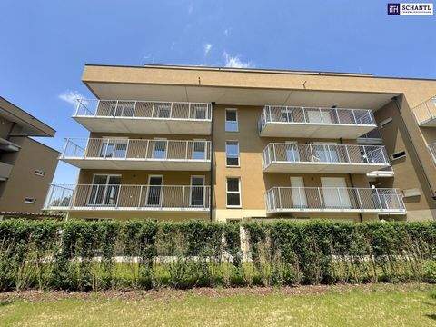 Kalsdorf bei Graz Wohnungen, Kalsdorf bei Graz Wohnung kaufen