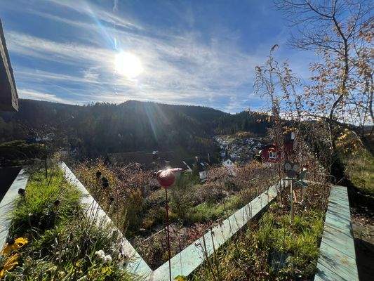 Aussicht von der Terrasse im EG