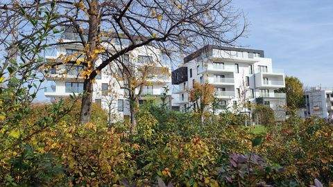 Mannheim Wohnungen, Mannheim Wohnung kaufen