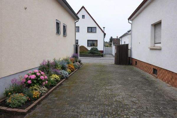 DSCN0811_AIEdited 1.jpeg