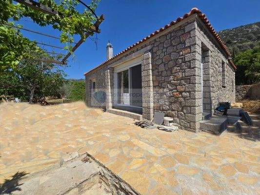 img_7155b0ef-a607-428b-a828-549f888be7c4