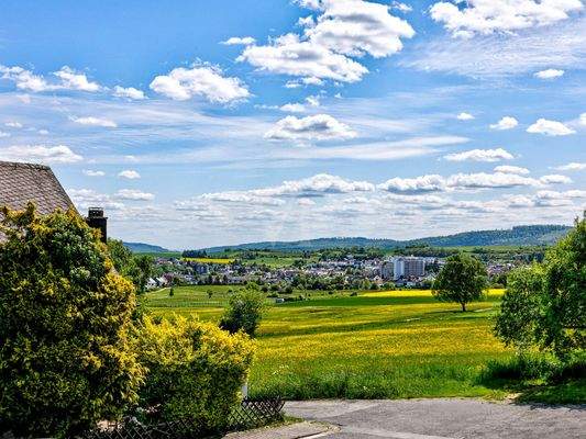 Naturkulisse am Feldrand