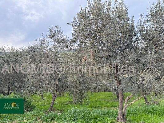 Agriturismo Restaurant