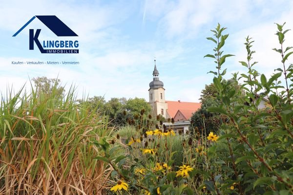 Blick aus dem Garten Richtung Stadt