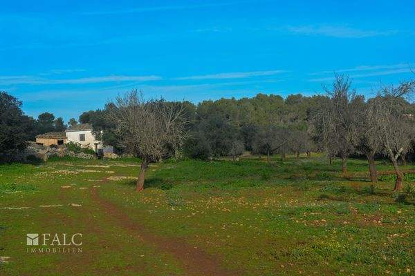 ... Landschaft/paisaje/landscape